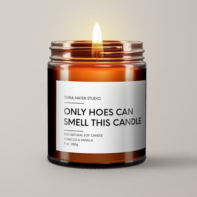 Only Hoes Can Smell This Candle | Soy Wax Candle | Funny Gift