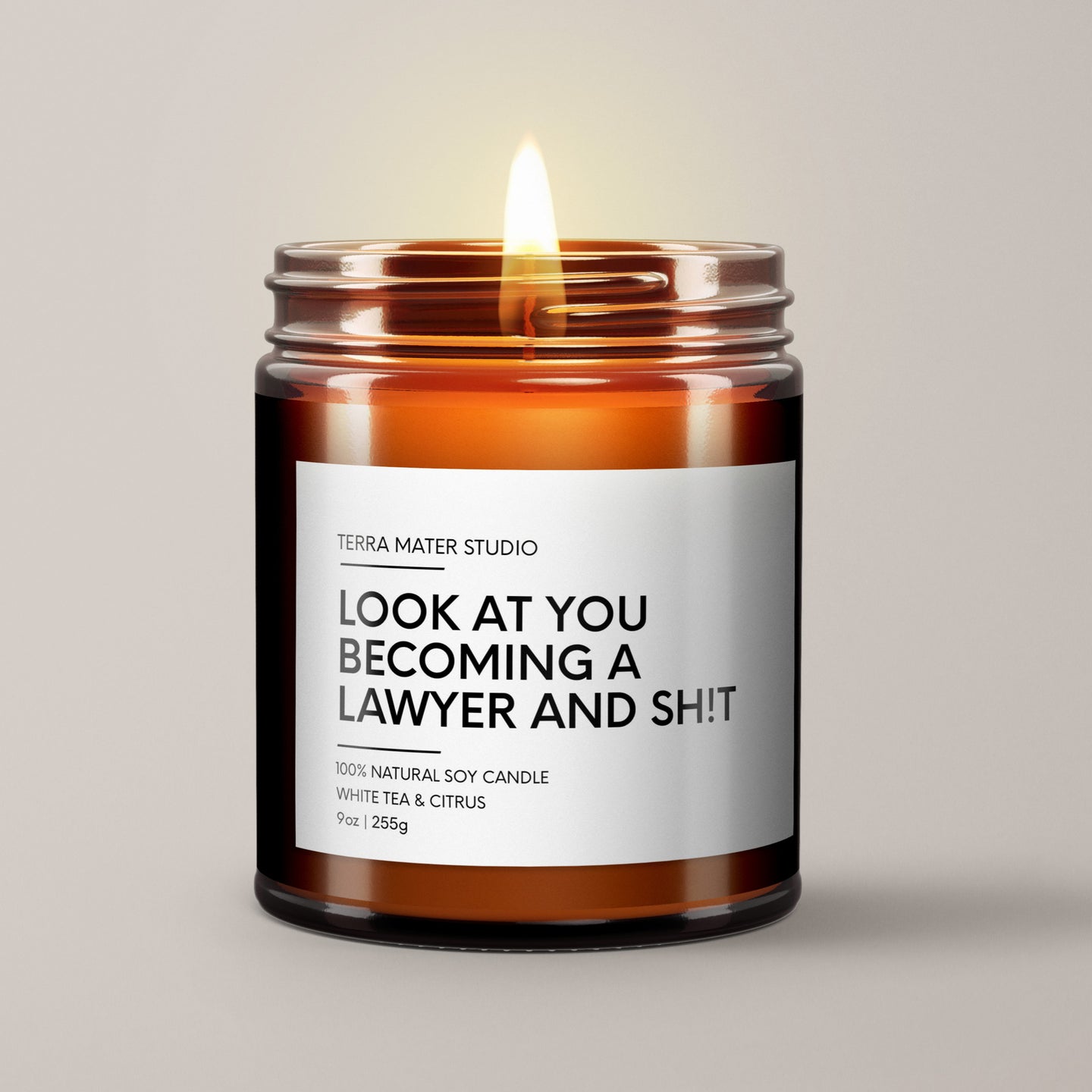 Look At You Becoming A Lawyer And Shit Soy Wax Candle | Lawyer Gift