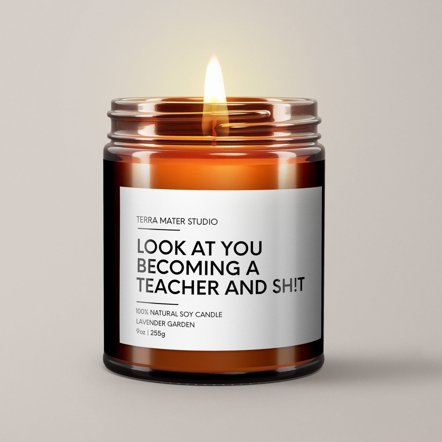 Look At You Becoming A Teacher And Sh*t Soy Wax Candle | Teacher Gift