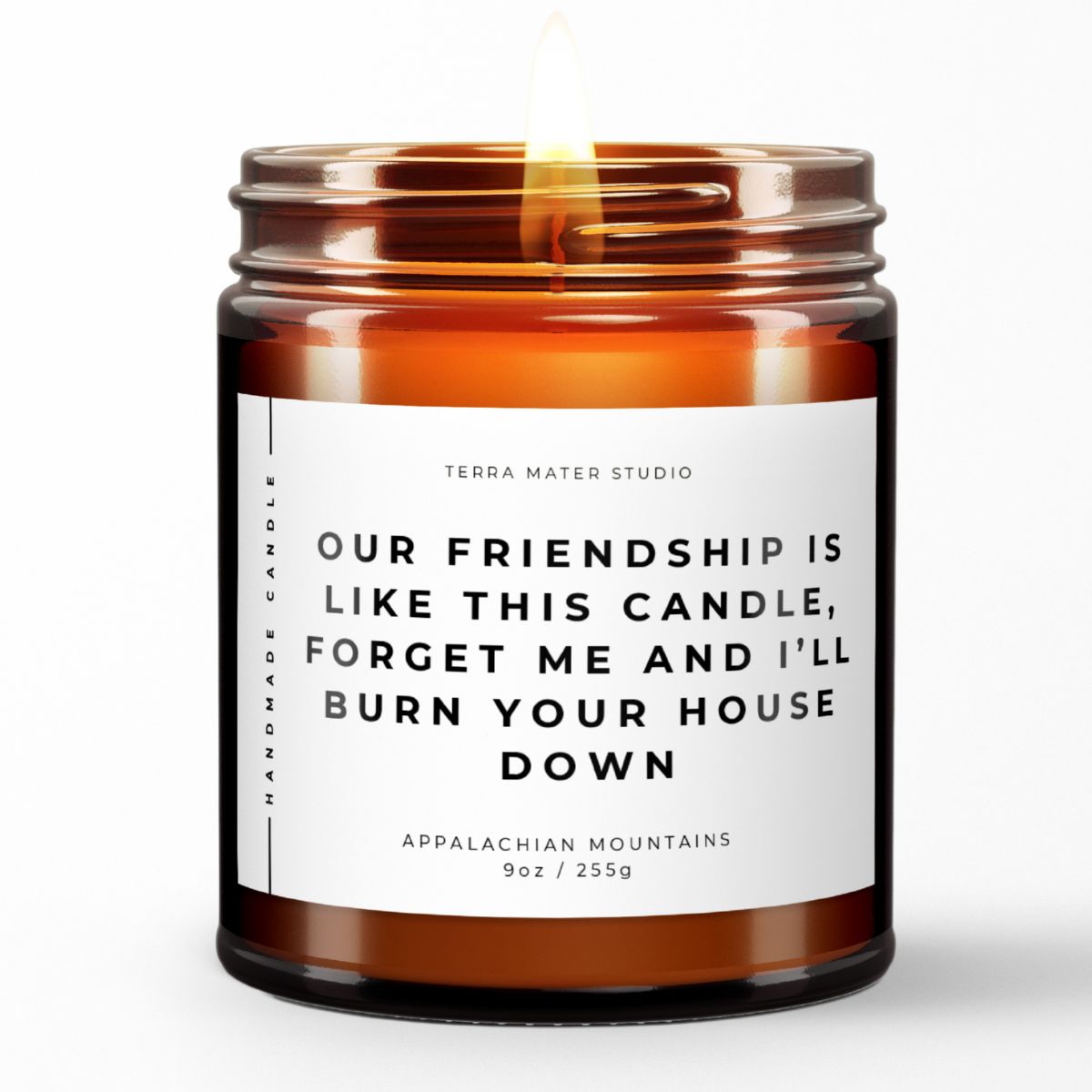 Our Friendship Is Like This Candle, Forget About Me And I'll Burn Your House Down | Funny Best Friend Gift